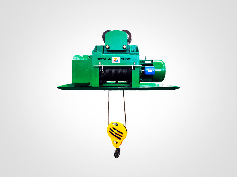 Universal electric hoist