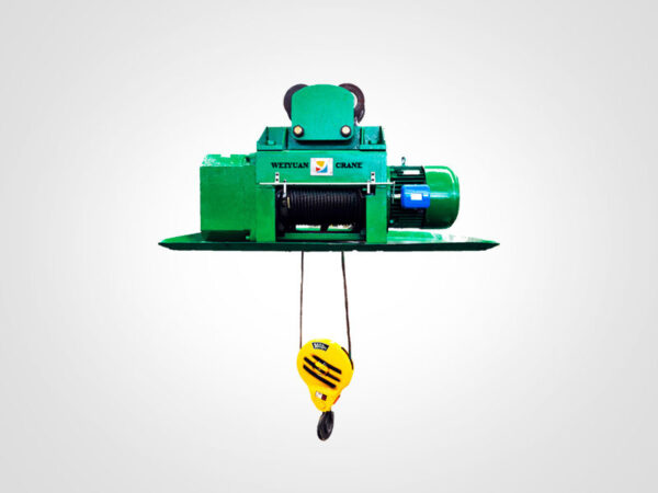 Universal electric hoist