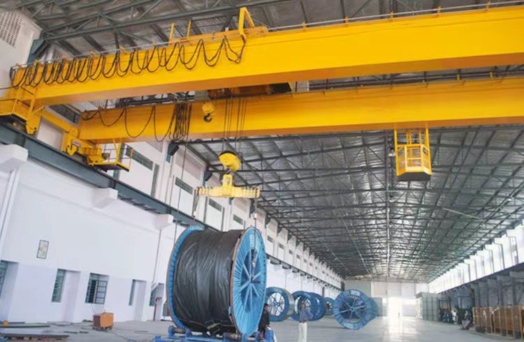 Customized Traveling EOT Crane